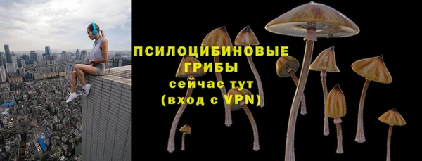 меф Мегион