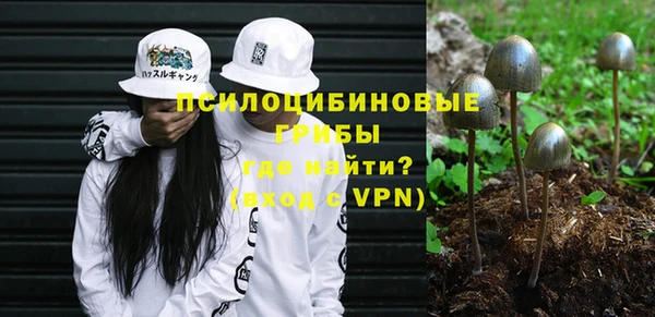 герыч Медногорск